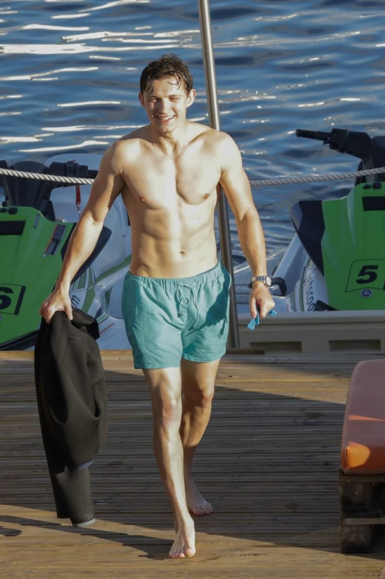 Tom Holland: Age, Family, Bio, Photos 60+