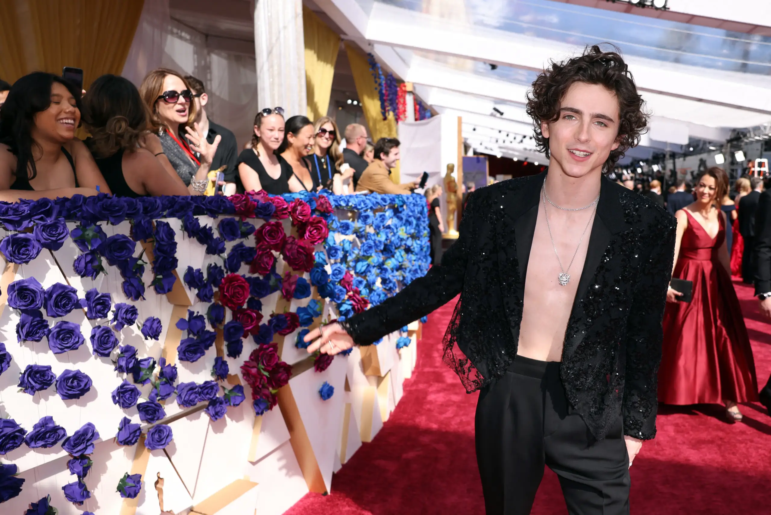 40+ Timothée Chalamet and High-res Pictures. Age, Family, Bio