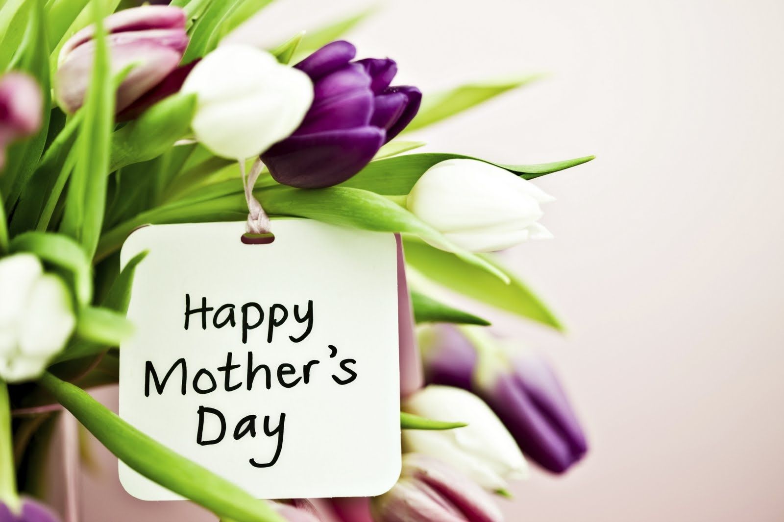 524 Mother's Day Messages & Quotes For Her Card