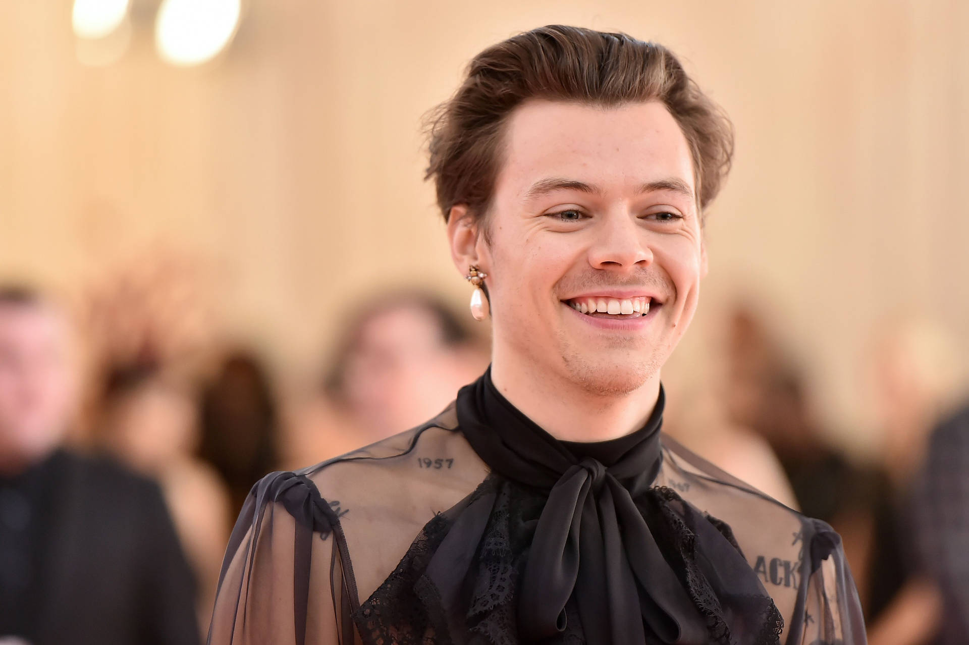 40+ Harry Styles Photos: Age, Family, Bio