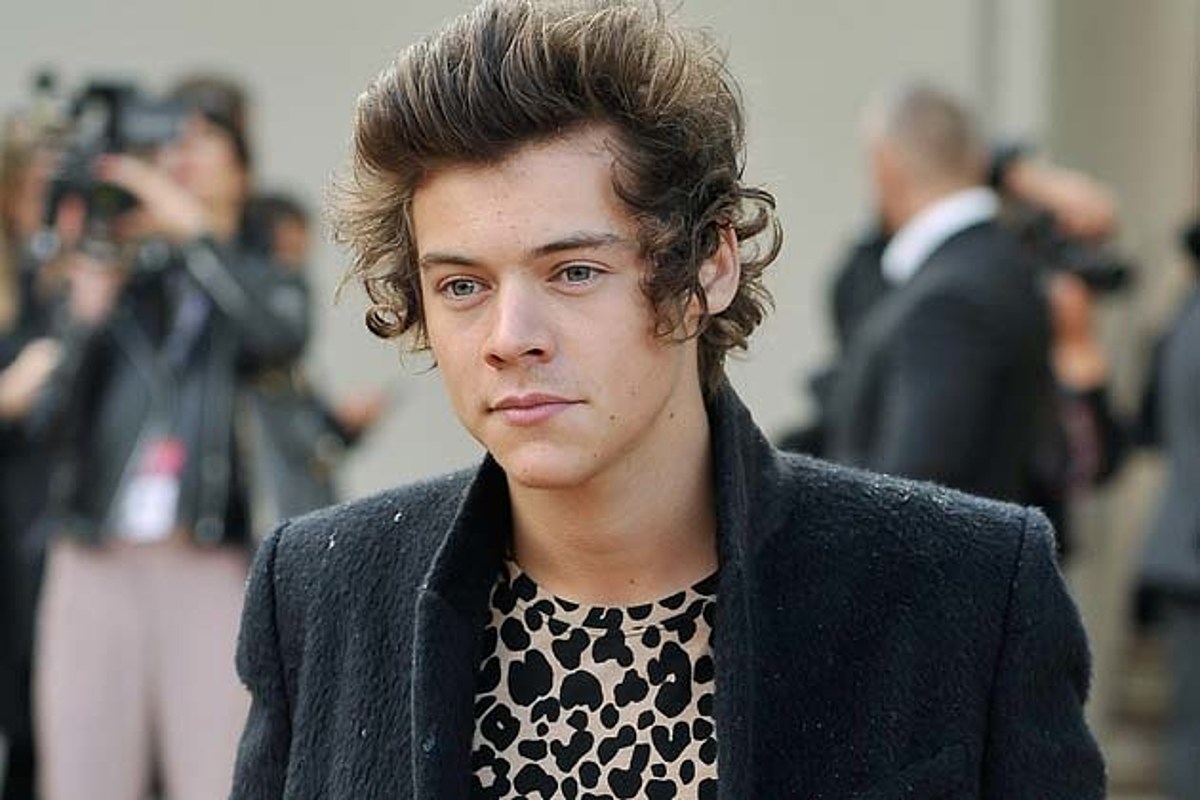 40+ Harry Styles Photos: Age, Family, Bio