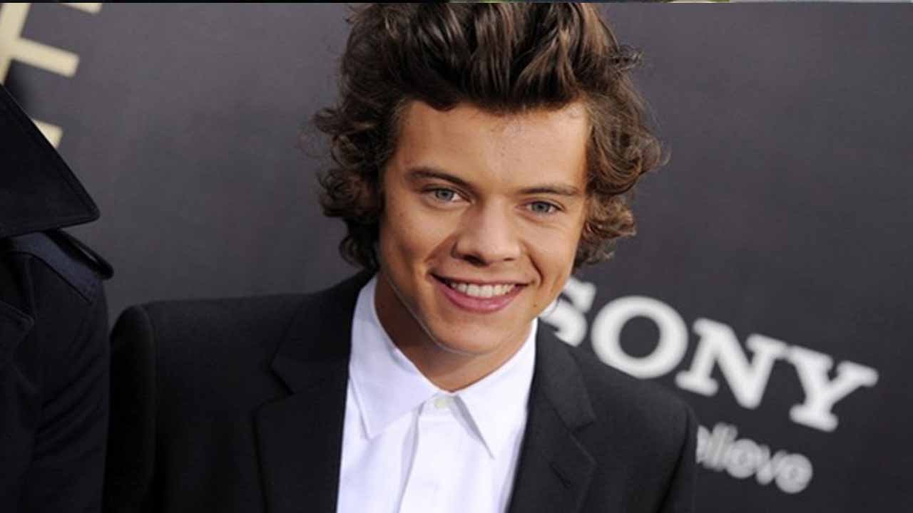 40+ Harry Styles Photos: Age, Family, Bio