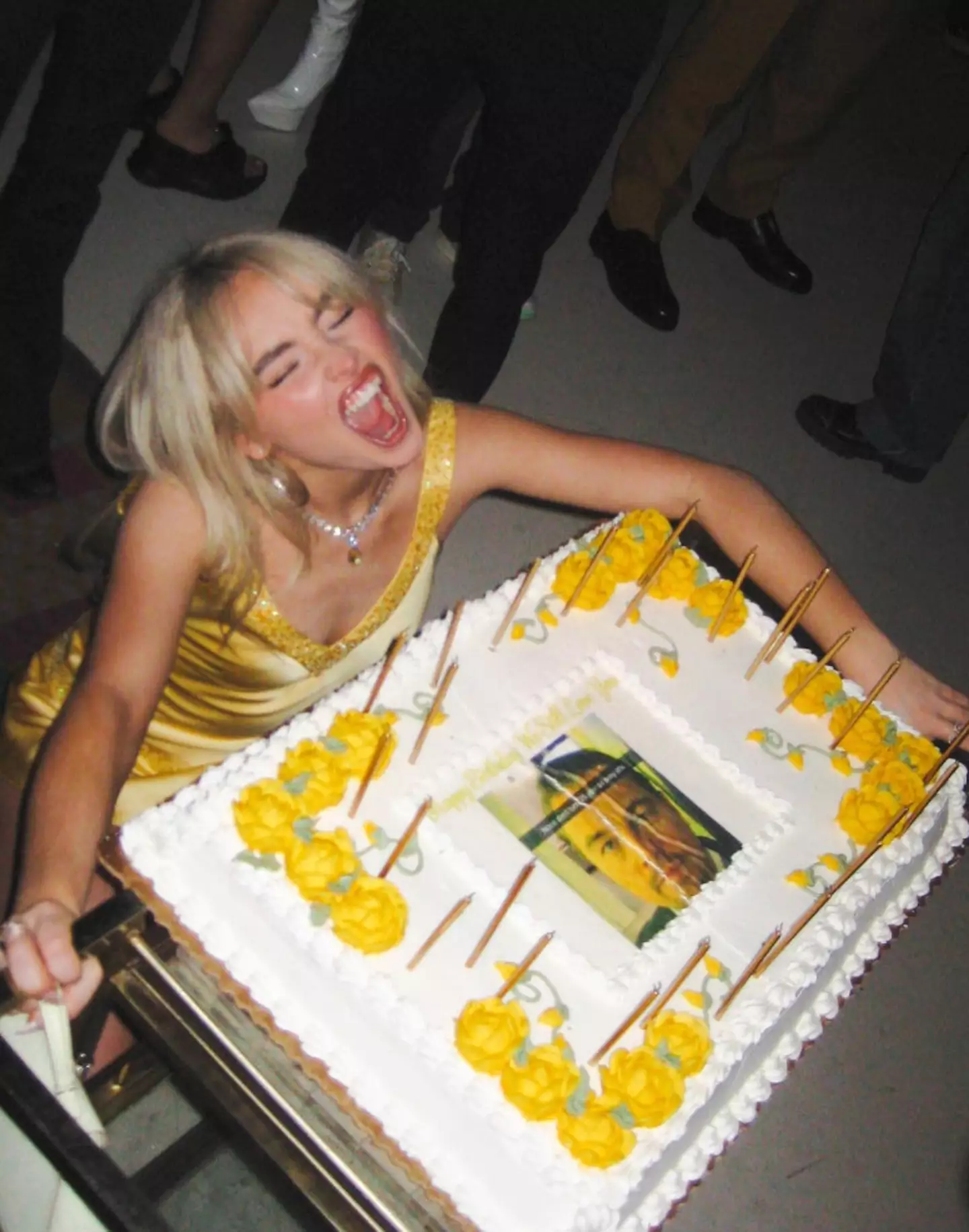 Sabrina Carpenter’s Birthday Bash Features Hilarious Leonardo DiCaprio Meme Cake!