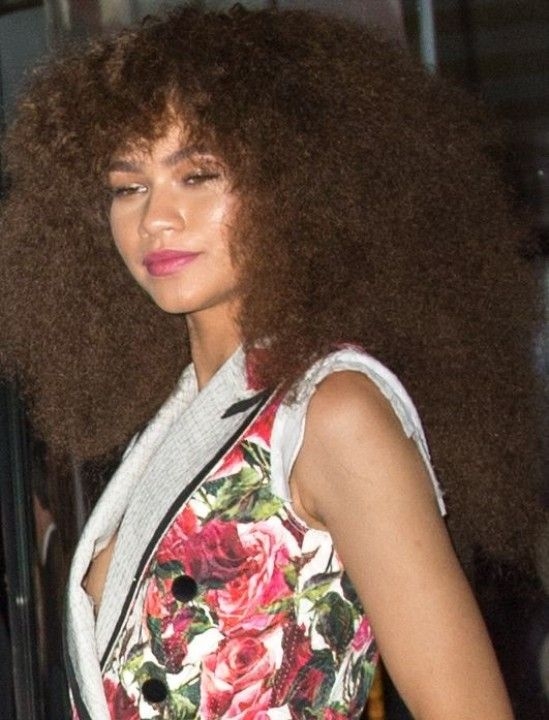 50+ Zendaya Photos and High-res Pictures. Age, Family, Bio