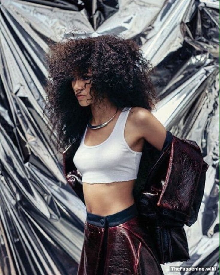 50+ Zendaya Photos and High-res Pictures. Age, Family, Bio